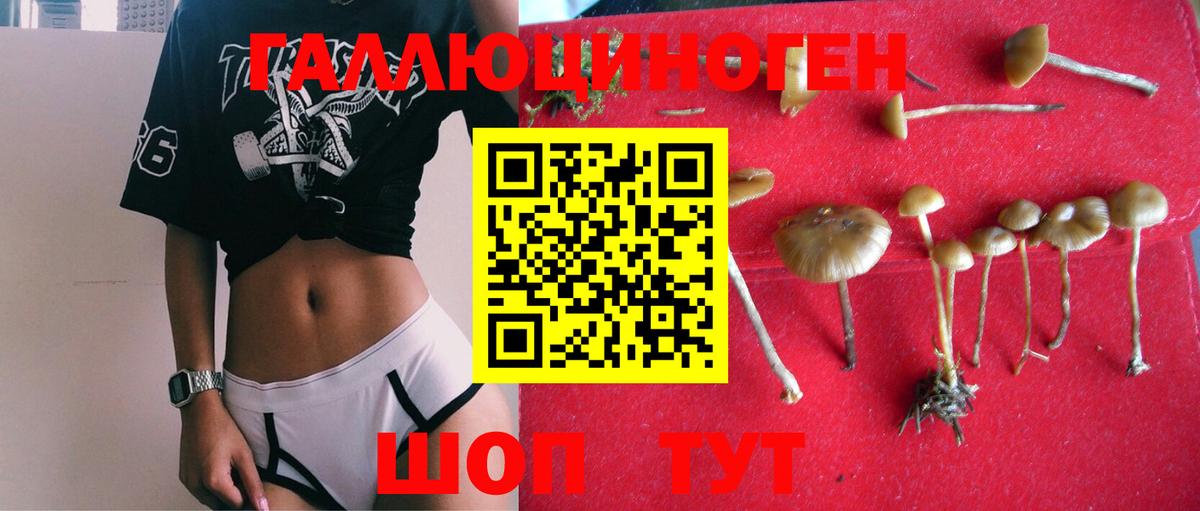 Новороссийск  Галлюциногенные грибы Magic Shrooms  Вход с VPN 