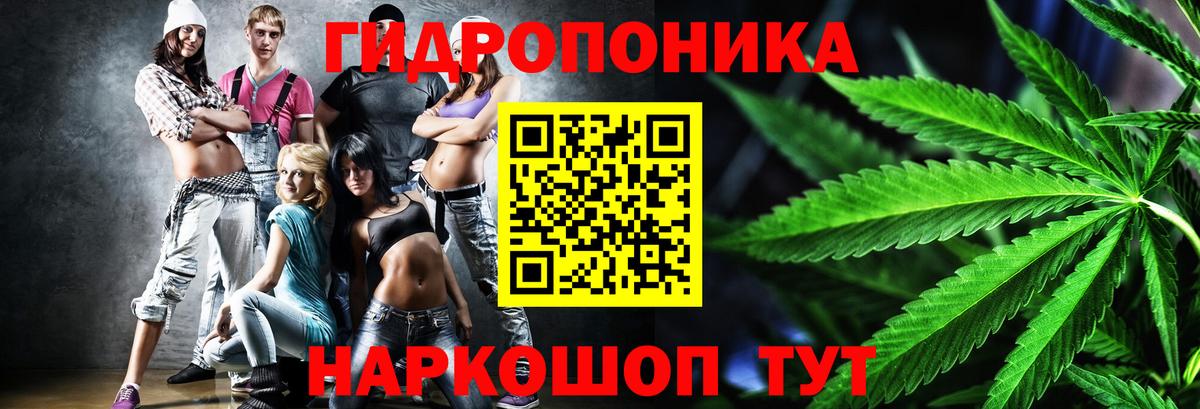 Бошки Шишки White Widow Новороссийск